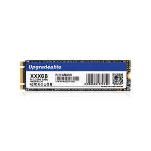 1TB Upgradeable M.2 SATA 2280 SSD