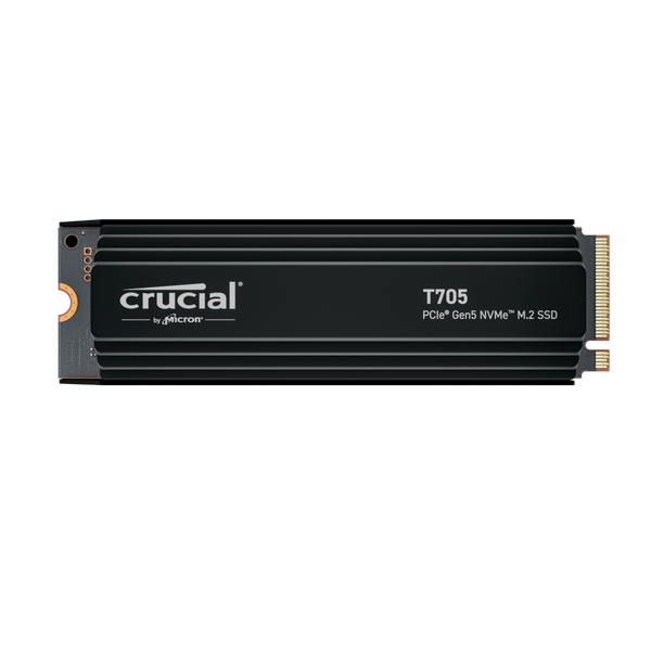 250GB Crucial P2 NVMe M.2 2280 SSD