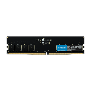 image for 32GB DDR5 5600 MHz UDIMM Module  Compatible