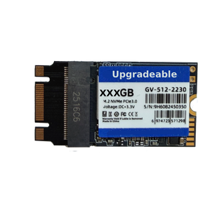 512GB Upgradeable NVME M.2 2242 SSD