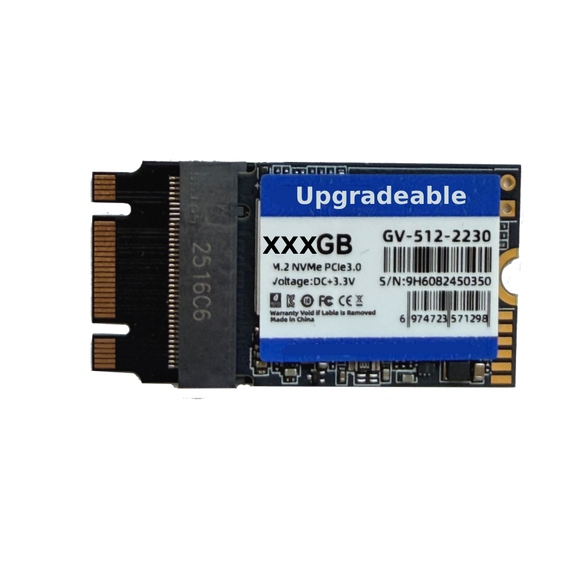 512GB Upgradeable NVME M.2 2242 SSD
